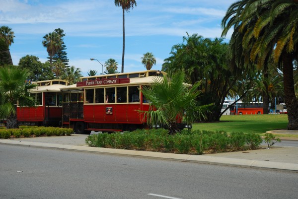 Perth Tram