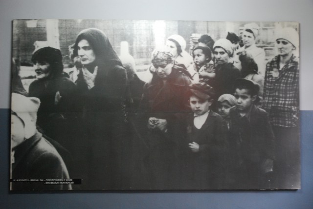 Arriving at Auschwitz Arriving at Auschwitz Concentration Camp